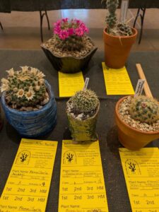 image from CACSS show and sale at Desert Botanical Garden