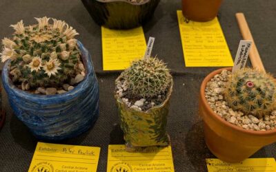 CACSS Show & Sale at Desert Botanical Garden in Phoenix