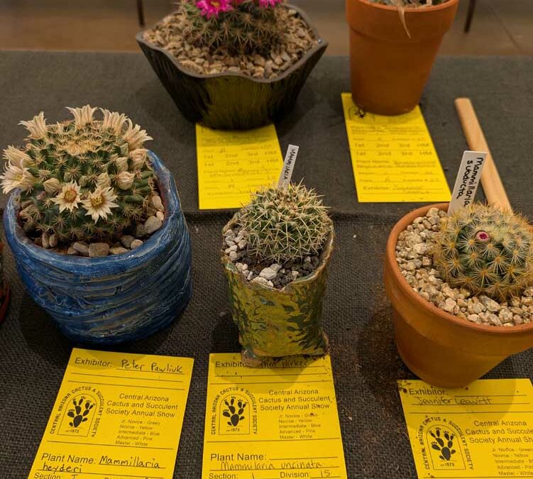 CACSS Show & Sale at Desert Botanical Garden in Phoenix