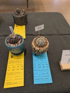 image from CACSS show and sale at Desert Botanical Garden