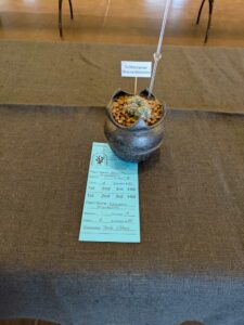 image from CACSS show and sale at Desert Botanical Garden