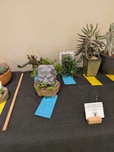 image from CACSS show and sale at Desert Botanical Garden