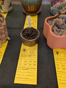 image from CACSS show and sale at Desert Botanical Garden