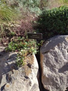 image from Conservation Garden Park - West Jordan Utah - Summer 2024