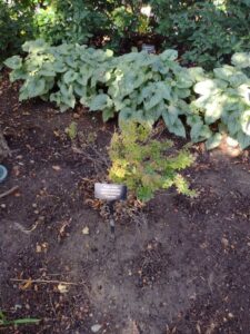 image from Conservation Garden Park - West Jordan Utah - Summer 2024