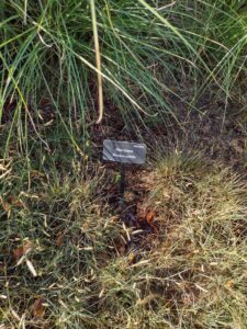 image from Conservation Garden Park - West Jordan Utah - Summer 2024