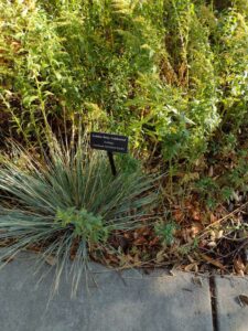 image from Conservation Garden Park - West Jordan Utah - Summer 2024