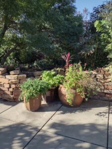 image from Conservation Garden Park - West Jordan Utah - Summer 2024