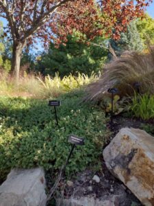 image from Conservation Garden Park - West Jordan Utah - Summer 2024