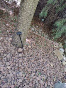 image from Conservation Garden Park - West Jordan Utah - Summer 2024