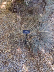 image from Conservation Garden Park - West Jordan Utah - Summer 2024