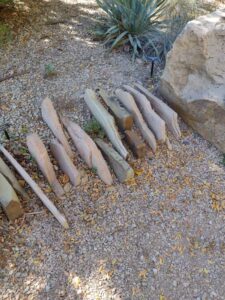 image from Conservation Garden Park - West Jordan Utah - Summer 2024