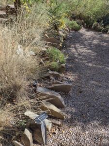 image from Conservation Garden Park - West Jordan Utah - Summer 2024