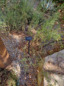 image from Conservation Garden Park - West Jordan Utah - Summer 2024