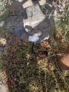 image from Conservation Garden Park - West Jordan Utah - Summer 2024