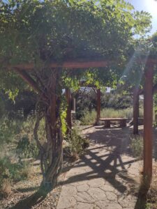 image from Conservation Garden Park - West Jordan Utah - Summer 2024
