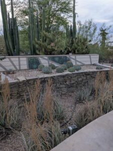 DBGLightBloomDec2024-11 image from Lightbloom exhibit at DBG winter 2024