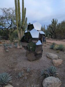 DBGLightBloomDec2024-15 image from Lightbloom exhibit at DBG winter 2024