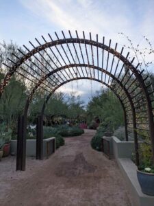 DBGLightBloomDec2024-16 image from Lightbloom exhibit at DBG winter 2024