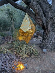 DBGLightBloomDec2024-21 image from Lightbloom exhibit at DBG winter 2024