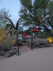 DBGLightBloomDec2024-26 image from Lightbloom exhibit at DBG winter 2024