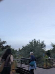 DBGLightBloomDec2024-27 image from Lightbloom exhibit at DBG winter 2024