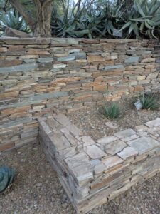 DBGLightBloomDec2024-3 image from Lightbloom exhibit at DBG winter 2024