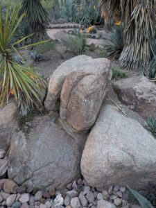 DBGLightBloomDec2024-30 image from Lightbloom exhibit at DBG winter 2024