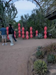 DBGLightBloomDec2024-33 image from Lightbloom exhibit at DBG winter 2024