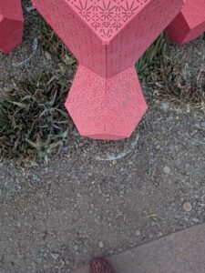 DBGLightBloomDec2024-35 image from Lightbloom exhibit at DBG winter 2024