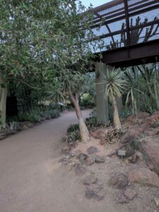 DBGLightBloomDec2024-39 image from Lightbloom exhibit at DBG winter 2024