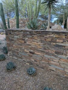 DBGLightBloomDec2024-4 image from Lightbloom exhibit at DBG winter 2024