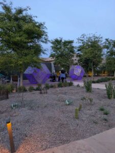 DBGLightBloomDec2024-41 image from Lightbloom exhibit at DBG winter 2024