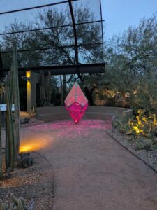 DBGLightBloomDec2024-45 image from Lightbloom exhibit at DBG winter 2024