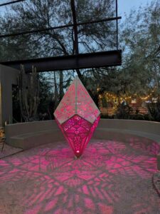 DBGLightBloomDec2024-46 image from Lightbloom exhibit at DBG winter 2024