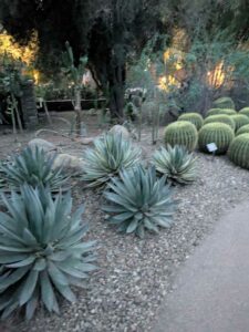 DBGLightBloomDec2024-48 image from Lightbloom exhibit at DBG winter 2024