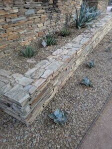 DBGLightBloomDec2024-5 image from Lightbloom exhibit at DBG winter 2024