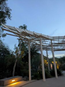 DBGLightBloomDec2024-55 image from Lightbloom exhibit at DBG winter 2024