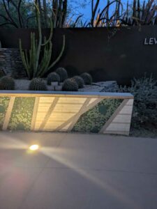 DBGLightBloomDec2024-56 image from Lightbloom exhibit at DBG winter 2024