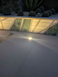 DBGLightBloomDec2024-57 image from Lightbloom exhibit at DBG winter 2024