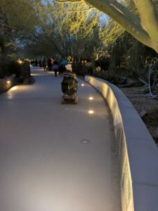 DBGLightBloomDec2024-58 image from Lightbloom exhibit at DBG winter 2024