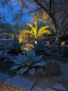 DBGLightBloomDec2024-59 image from Lightbloom exhibit at DBG winter 2024