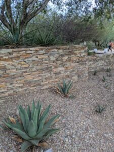 DBGLightBloomDec2024-6 image from Lightbloom exhibit at DBG winter 2024