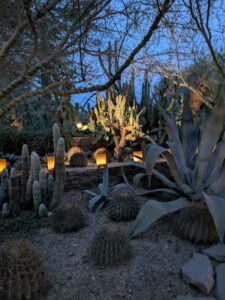 DBGLightBloomDec2024-60 image from Lightbloom exhibit at DBG winter 2024