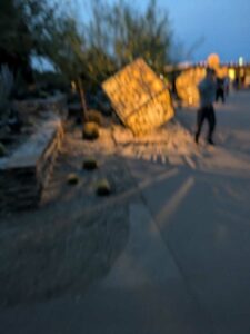 DBGLightBloomDec2024-62 image from Lightbloom exhibit at DBG winter 2024