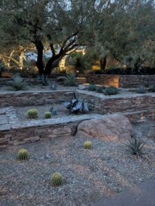 DBGLightBloomDec2024-64 image from Lightbloom exhibit at DBG winter 2024