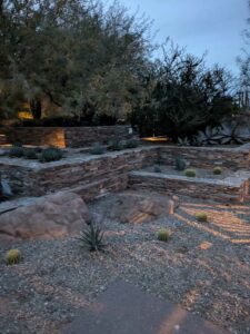 DBGLightBloomDec2024-65 image from Lightbloom exhibit at DBG winter 2024