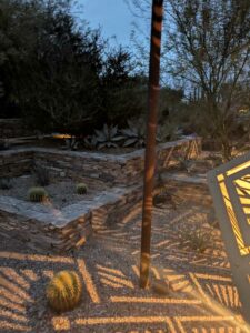 DBGLightBloomDec2024-67 image from Lightbloom exhibit at DBG winter 2024