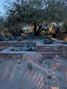 DBGLightBloomDec2024-68 image from Lightbloom exhibit at DBG winter 2024