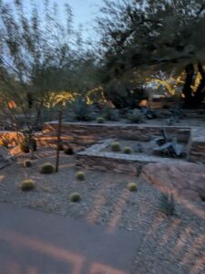 DBGLightBloomDec2024-69 image from Lightbloom exhibit at DBG winter 2024